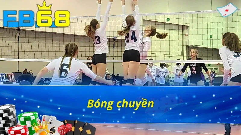 Bật Mí Những Điểm Nổi Bật Tại Sảnh Thể Thao Saba Fb68 5 Bóng chuyền tại thể thao Saba Fb68