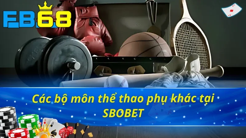 SBOBET FB68 - Thỏa Mãn Đam Mê Cá Cược Với Sân Chơi Uy Tín Top 1 4 Tổng hợp các bộ môn thể thao phụ khác tại SBOBET